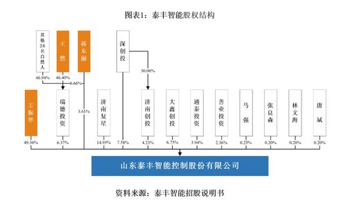 泰豐智能 自主創(chuàng)新與財(cái)務(wù)健康下的智能系統(tǒng)集成挑戰(zhàn)